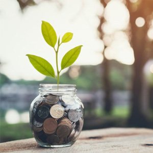 Jar of coins with a small plant growing out of it